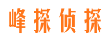 宜君市调查公司